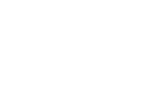 icon of piggy bank